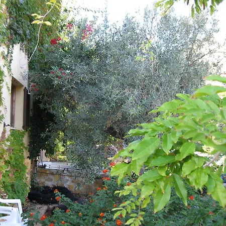 Bed & Breakfast Rural Planet Bolulla